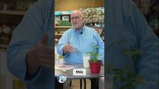 Jesus&#39; Table: Global Community&#39;s Eternal Foundation #shorts