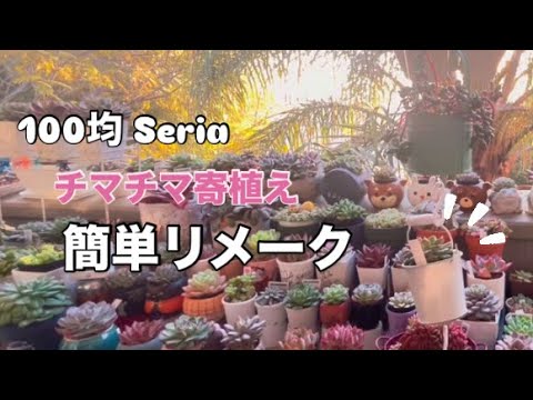11【多肉植物】ちまちま寄植えとリメ缶 - YouTube