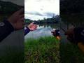 Thả câu xuống cái là suýt lên thủy quái #cakhung #fishing #caucathugian #câucáreview