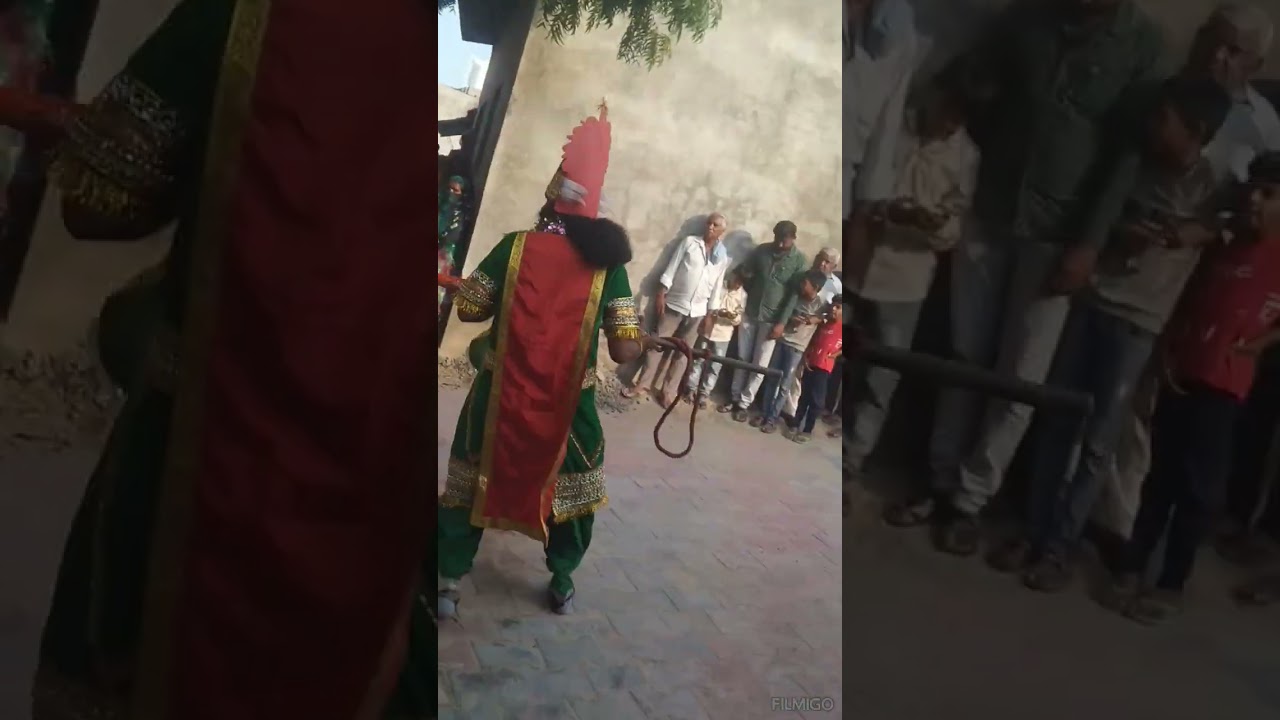 15 September 2024 zezra Dasada