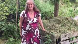 IMG 4859