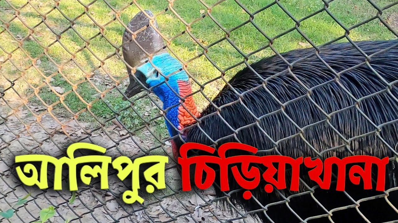 চিড়িয়াখানা এইসব কি হয় | চিড়িয়াখানার একটা গুপ্ত ঘর দেখলাম | Blogger PIglu new Bengali blog