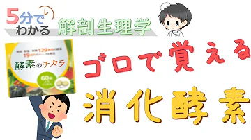 تحميل 消化酵素 覚え方 Mp4 Mp3