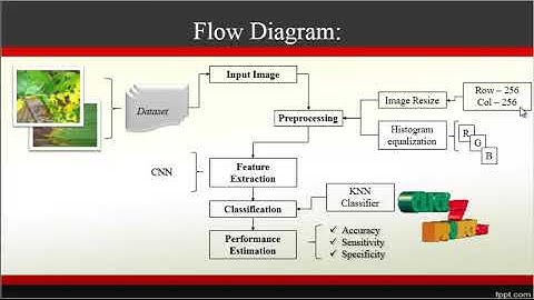 Multilayer Convolution Neural Network for the Classification of Mango Leaves - ClickMyProject