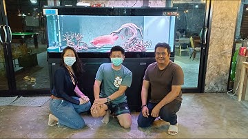 ขัญ เติมไอเดีย III : งาน O4FS ตู้ปลา 72" เปลี่ยนเป็นตู้ดำเพื่อเลี้ยงปลามังกรแดง + ฝูงปอมป่า Set 3