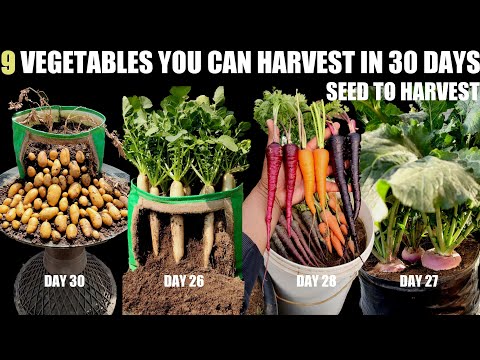 Top 9 Fast Growing Vegetables | SEED TO HARVEST IN 30