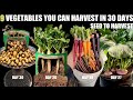 Top 9 Fast Growing Vegetables | SEED TO HARVEST IN 30 DAYS