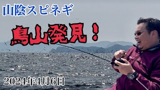 【山陰スピネギ】島根沖ライトジギング釣行で鳥山に遭遇！シーアンカーも初めて使ってみた！【日本海｜松江｜SLJ｜スロージギング｜タイラバ】