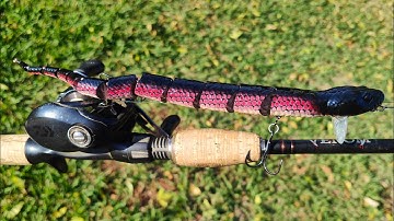 Can I Catch A Murray Cod On The Savage Gear 3D Wake Snake?