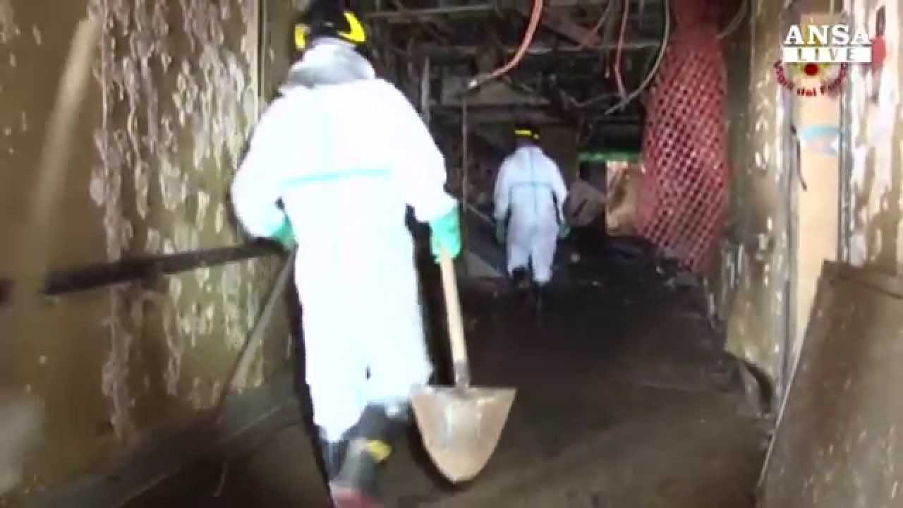 Costa Concordia: trovato il corpo dell'ultima vittima, Russel Rebello