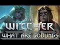 What are godlings  witcher lore  witcher mythology  witcher 3 lore  witcher races lore