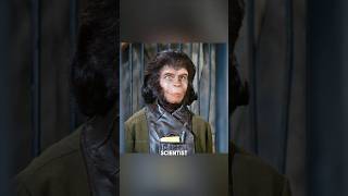 Ape Scientist Shocked By Humans Secret