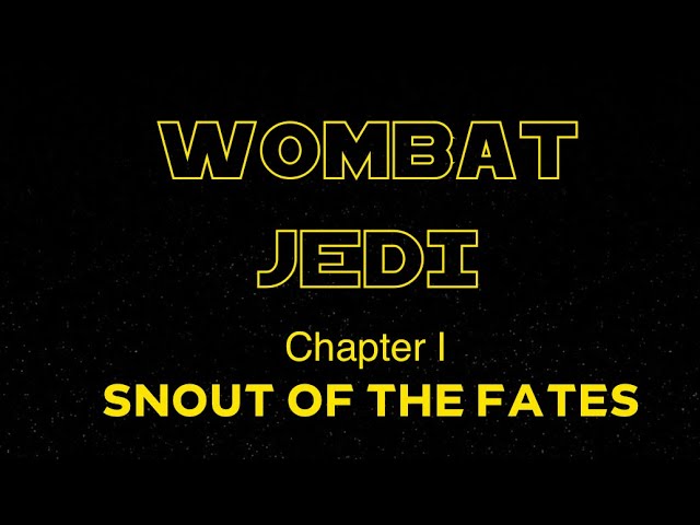 youtube video converter, video convert online