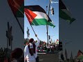 Yang pilih palestina paket lengkap kalo pilih israel skip gak usah paket lengkap