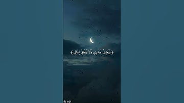 وَيَضِيقُ صَدْرِي وَلَا يَنْطَلِقُ لِسَانِي || القارئ اسلام صبحي ||