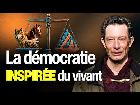 Ce que la nature nous apprend sur la démocratie — Entretien avec Guillaume Reffay