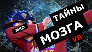 MED || ТАЙНЫ МОЗГА