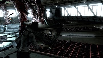 Evil Within Consequence