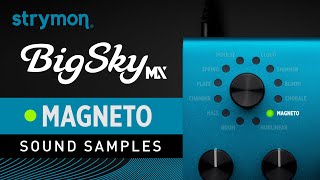 Strymon BigSky MX | Sound Samples | Magneto Reverbs