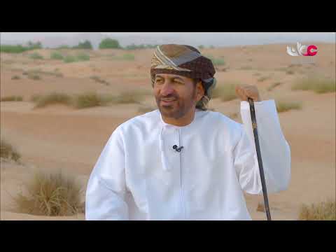 الزامل الحلقة 8