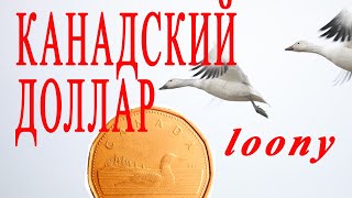 Канадский доллар