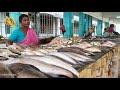 நாகையில் இவ்வளவு அருமையான மீன் மார்க்கெட்/Nagai most beautifull fish market...