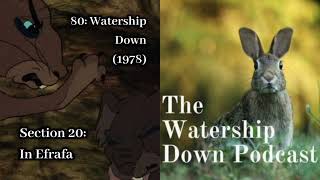 80 : Watership Down (1978) Section 20: In Efrafa
