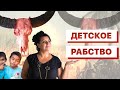 Детское рабство. Остров Сумба. Индонезия