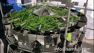 Fully automatic green bean packing machine product line