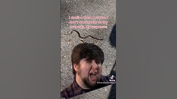 We need snakes to #funny #snakes #nature #wildlife