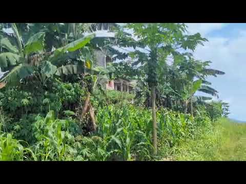 1000m² for sale in mile 2 Limbe behind the Limbe1 council...