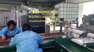cherry grading machine/fruit weight sorting machine