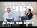 Joe Rogan Experience #965 -  Robert Sapolsky