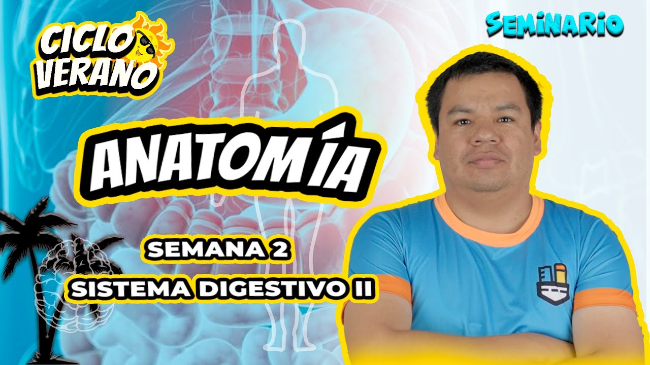50 - SEMANA  2 - SEMINARIO - ANATOMÍA   SISTEMA DIGESTIVO II  -  20/01/2024