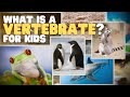 Vertebrates Unveiled: Characteristics and Classes of Animal Life