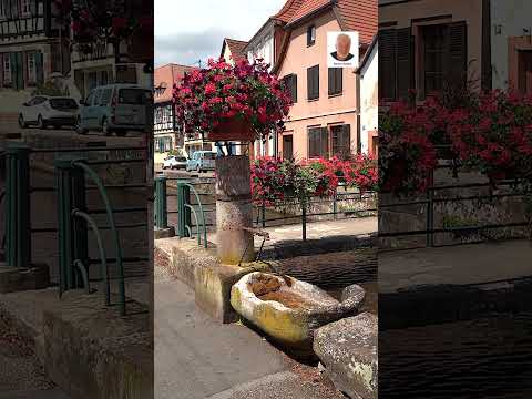 #Wissembourg, #Alsace, #France, #travel, #shorts