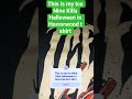 This is my Ice Nine Kills Halloween in Horrorwood t shirt