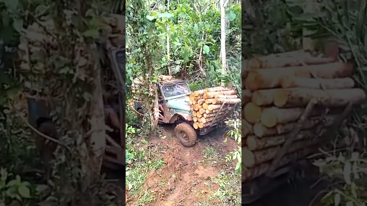 Dangerous Forest Logging Truck | Muddy Off-Road Drive | Satisfying Truck Video