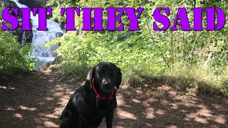 We Found a Hidden Waterfall in the Woods!