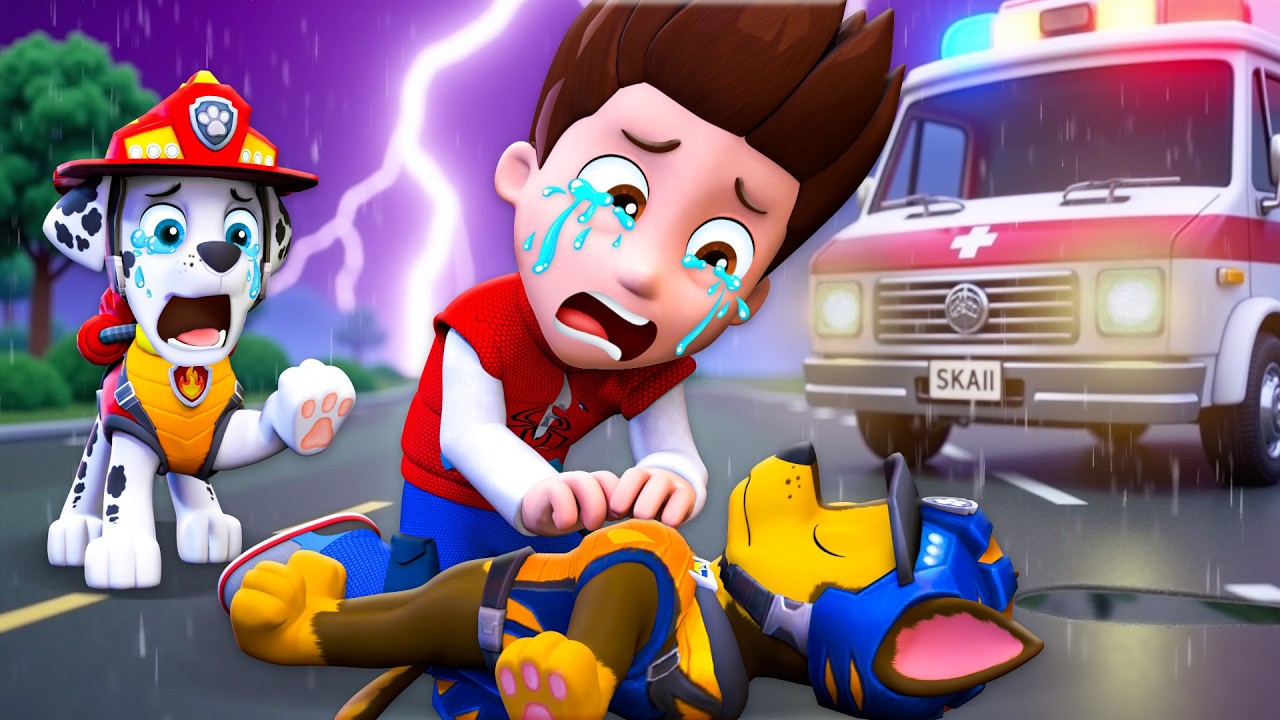 NO... CHASE Please Wake UP! Don't Leave Paw Patrol! | Paw Patrol 3D Animation | Rainbow 3