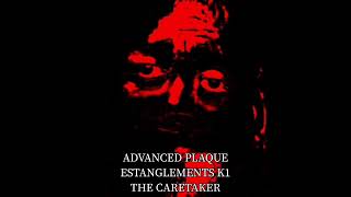 ADVANCED PLAQUE ESTANGLEMENTS K1 THE CARETAKER【Mr.incredible】