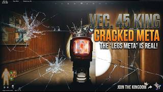 VECTOR  45  THE LEGS META KING ｜Arena Breakout: Infinite