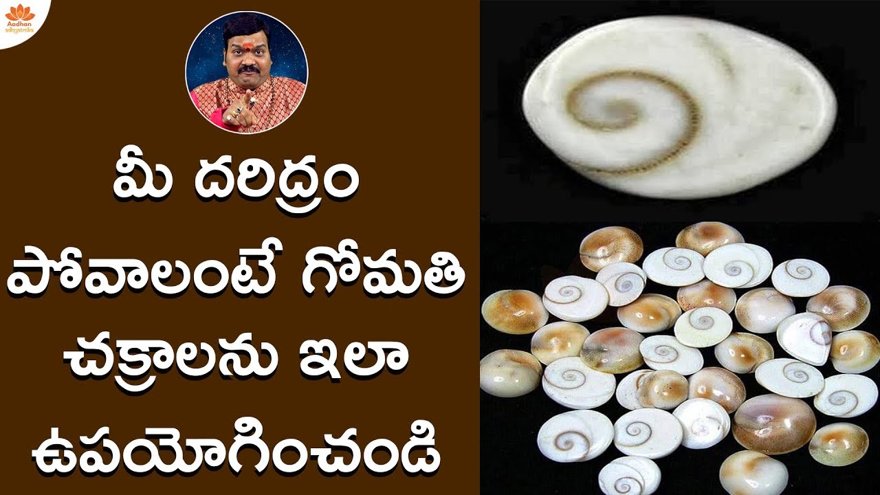 దృష్టిదోషాలు పోవాల‌న్నా, వ్యాపారం క‌లిసి రావాల‌న్నా ఏం చేయాలి? | Gomati Chakra Benefits | Adrustam