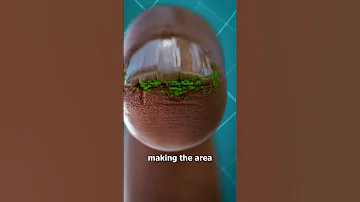 Why You Shouldn T Bite Your Nails 