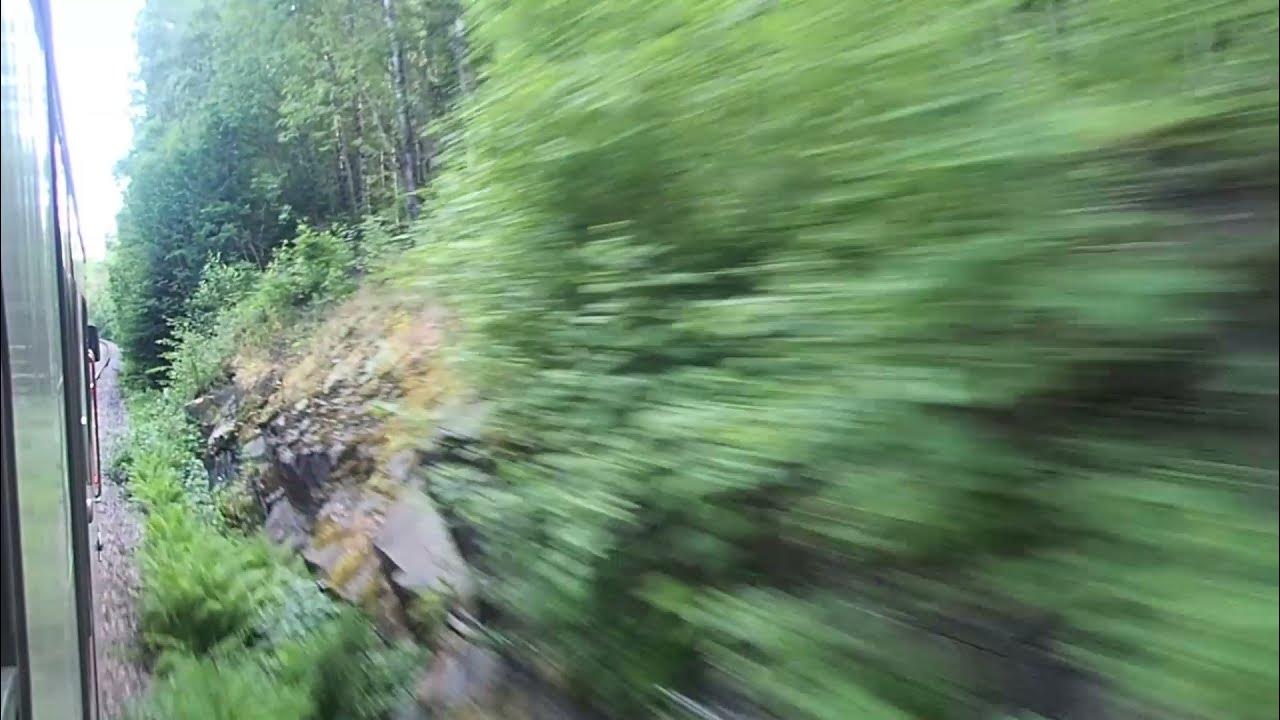 Орлан лодейное поле сортавала расписание. Орлан лодейное поле сортавала расписание