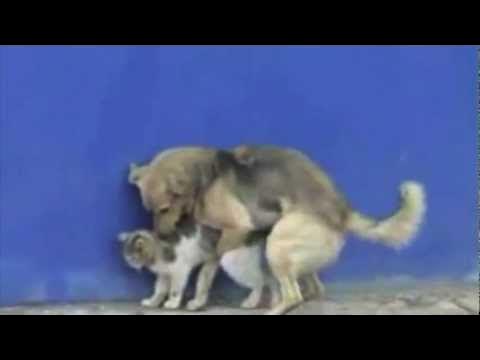 Meme: "Потапов Пичугин Полетков" - All Templates - Meme-arsenal.com