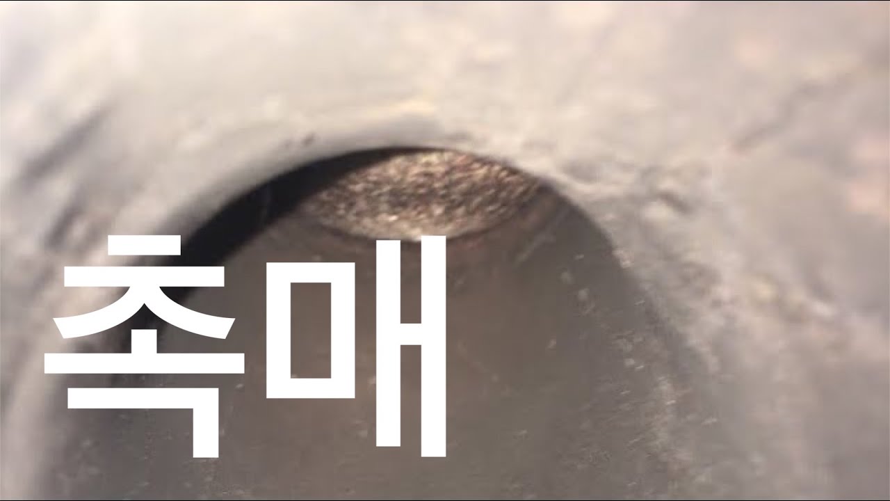 경고합니다 오래된 이태리 오토바이 사지 마세요 motorcycle stalling rpm catalytic converter