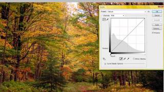 HDR Photo Effect screenshot 5