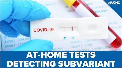 VERIFY: Yes, at-home tests detect BA.5 subvariant, but possibly with lesser sensitivity
