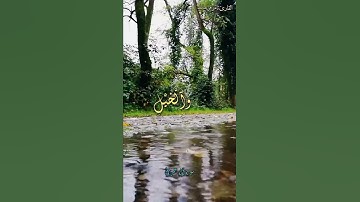 زين للناس حب الشهوات من النساء| القارئ تامر فرحات ❤️🙏